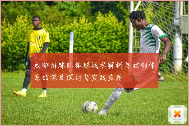 成都排球队排球战术解析与控制体系的深度探讨与实践应用