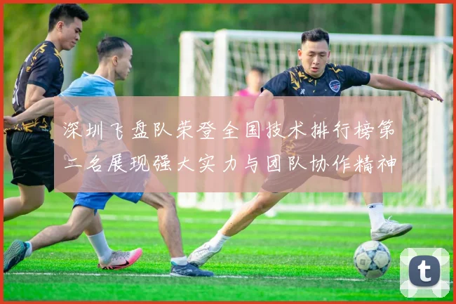 深圳飞盘队荣登全国技术排行榜第二名展现强大实力与团队协作精神