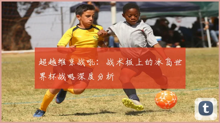 超越维京战吼：战术板上的冰岛世界杯战略深度分析